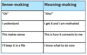 Table - Sense-making and meaning-making 